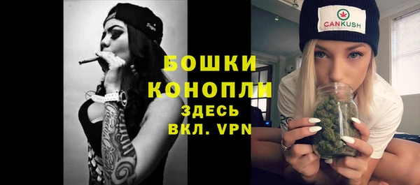 дурь Покачи