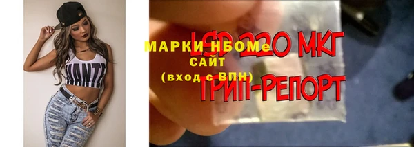 ГАЛЛЮЦИНОГЕННЫЕ ГРИБЫ Алексеевка