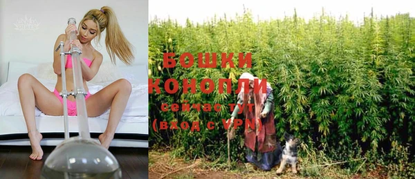 ГАЛЛЮЦИНОГЕННЫЕ ГРИБЫ Алексеевка