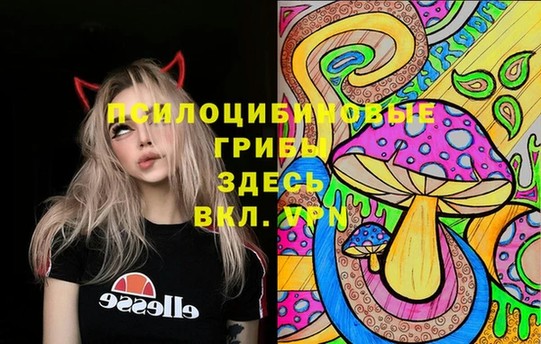 ГАЛЛЮЦИНОГЕННЫЕ ГРИБЫ Алексеевка